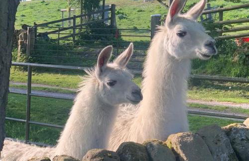 3 Bed in Bakewell oc-78618 - Foto 29