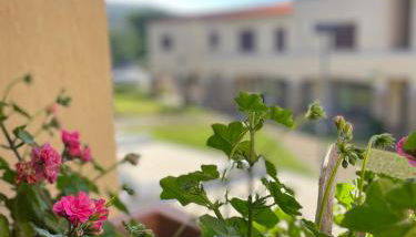 La casa di Camilla - Foto 5