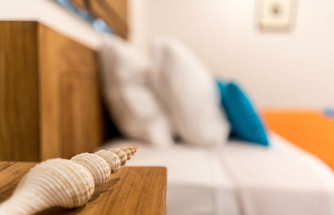 Cas Elizabeth - Foto 15