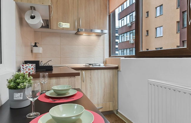 Diana Studio - Foto 13