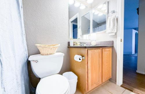 Cactus Bonito - Foto 42