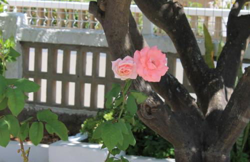 Casa do Limoeiro - Foto 13