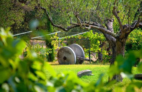 Pie' d'Ulivo - Foto 99