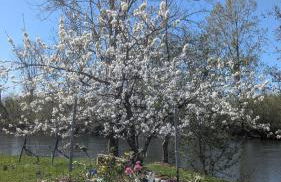 Maison atypique bord de l'Yonne - Foto 40