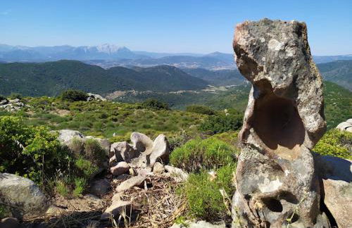 Matta e Sole - Foto 10