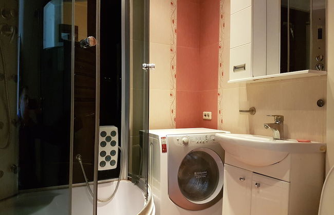 DeLuxe Apartment Novocheremuchkinskaya - Photo 10