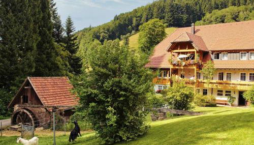 Hoferpeterhof - Foto 5