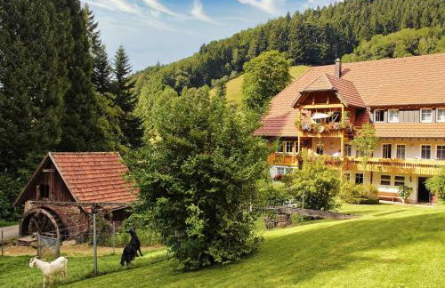 Hoferpeterhof - Foto 5