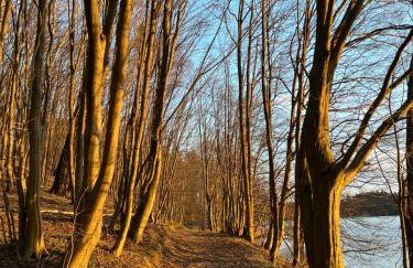 APARTAMENT CENTRUM - Foto 72