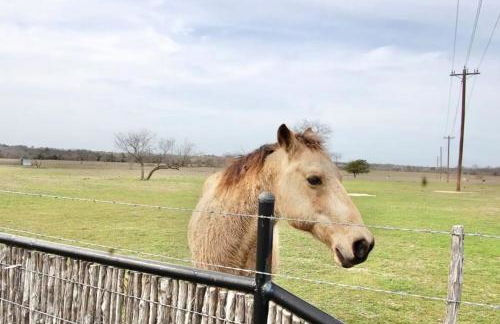120 Acre Estate WaterTubing, Livestock,Event Space - Foto 7