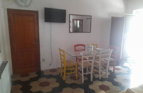 Fico d'india - Foto 13