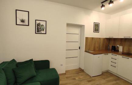 Apartamenty AgPa7 - Foto 5