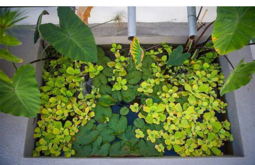 Hacienda Cuatro Ventanas - Foto 78