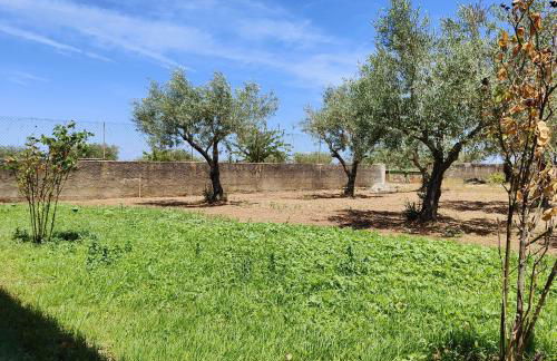 Villa Mendes Oliva - Foto 49