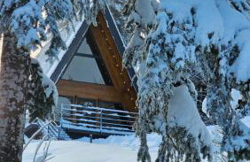 Gorska bajka - Borovica, planinska kuća za odmor i wellness - Foto 1