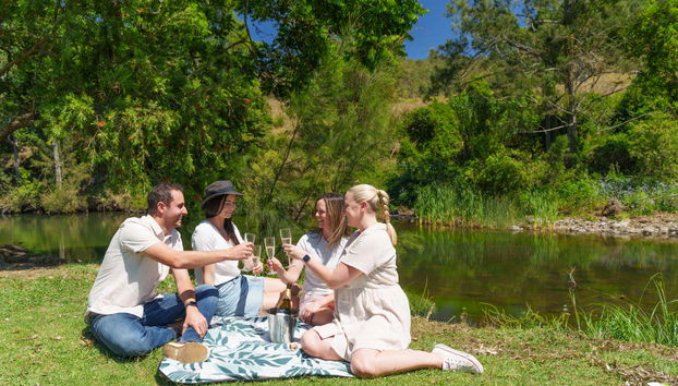 Excursion à Lamington et dans la vallée de Canungra - Photo 5, Prêt pour une journée pleine de merveilles naturelles ?