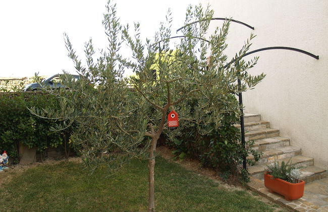 Provvidenza - Foto 40