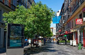 Arenal Suites Preciados - Photo 56