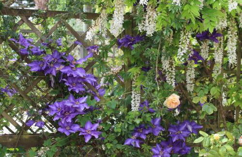 Gite Kergroix en Carnac - Foto 6