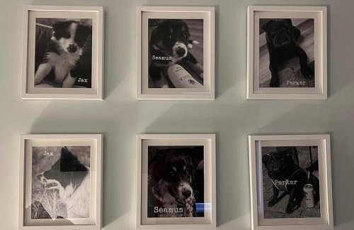 Gellyburn Cottage a Modern Farm Cottage with Countryside Views - Foto 31