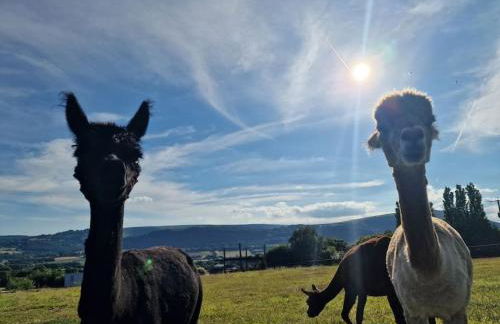 Swallows Nest Guest House - With Hot Tub - Foto 10