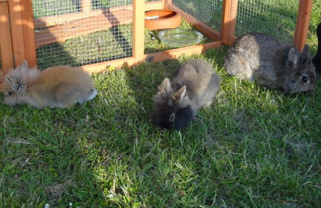 Country House Near Baltic Sea Beach - Foto 22