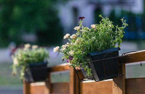 Wood Fairy - Foto 32