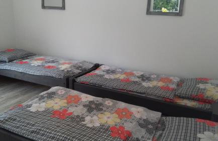 Agroturystyka,, Ranczo Kruszynki" - Foto 66