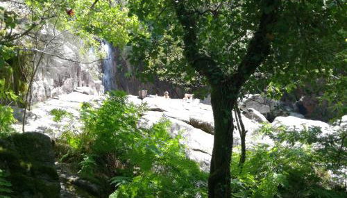 Casinha do João no Gerês - Foto 2