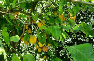 Casa Rosanna - Foto 29