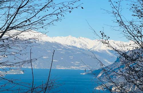 La coccinella - Foto 18