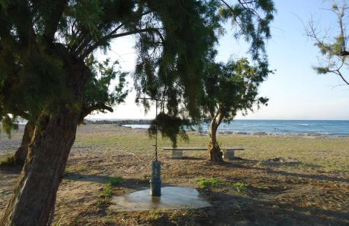 Alexandra Homestay - Foto 74