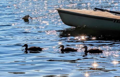 Lake Life Waterfront Cabin NEW - Photo 2