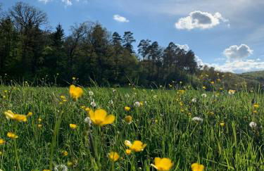 Ferienwohnung Familie Schleicher - Foto 17