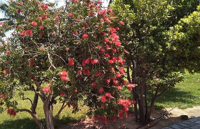 Villa Serenity House of an Elegant Immaculate Luxury Authentic Relaxing Space - Foto 68