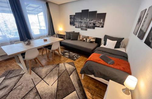 Großes Apartment Aschaffenburg 4 Schlafzimmer bis zu 10 Personen Mainpark Apartment Mainaschaff - Foto 21