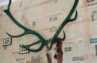 Magdala Lodge - wellness oasis - Foto 64