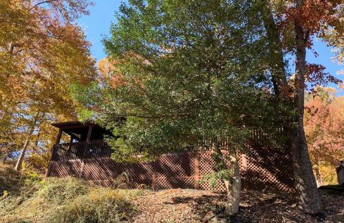 Log Cabin Walkable to Lake Lure & Chimney Rock - Blue Skies - Foto 22