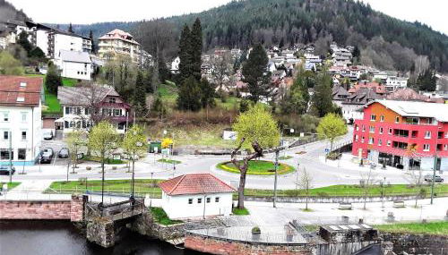 Ferienwohnung Enzblick - Foto 2