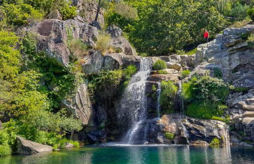 Aromas do Vouga - Foto 24