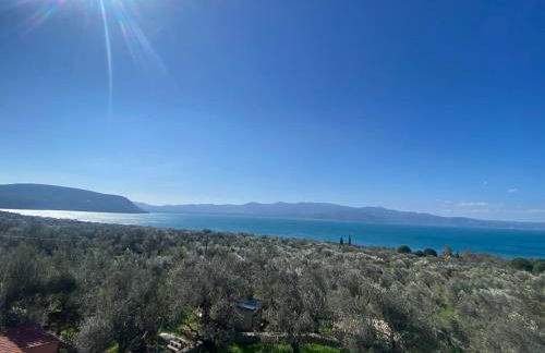 Presidential Sea View - Photo 17