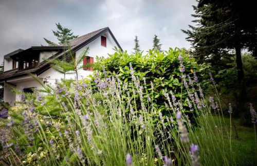 Le Conifere - Foto 1