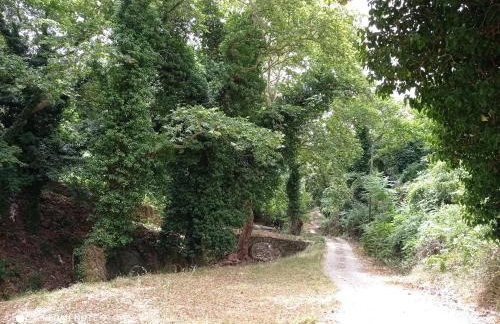 Marina Traditional Stonehouse - Foto 37