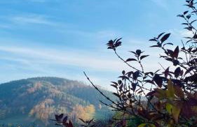 Wzgórze Artystów - Foto 2