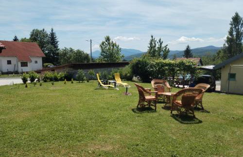 Yellow Rose - Foto 18