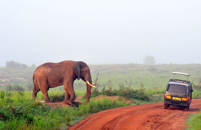 Victoria Lake View Guest House & Safaris - Photo 30