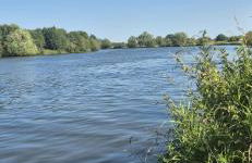 LandOase Buchhorst - Photo 10