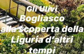 Cav Gli Ulivi di Bogliasco parcheggio privato gratuito - Foto 57