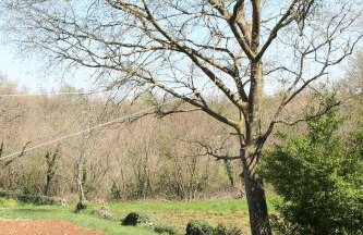 Apartment Fuma - Foto 12