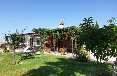 El Camerote - Photo 11